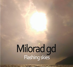 Flashing Skies_Cover