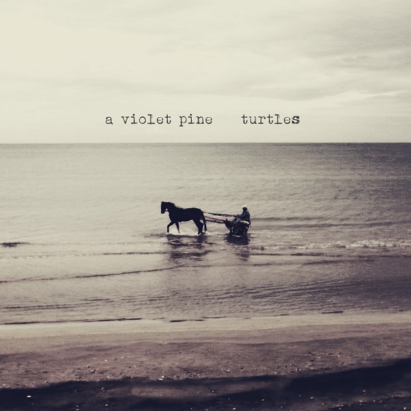 recensione_avioletpine-turtles_IMG_201512