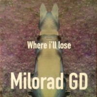 Where I’ll lose_cover