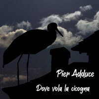 p_adduce_24_cover